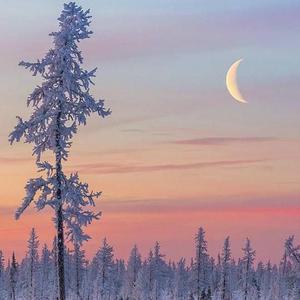 蜜臀av色欲av桃色
